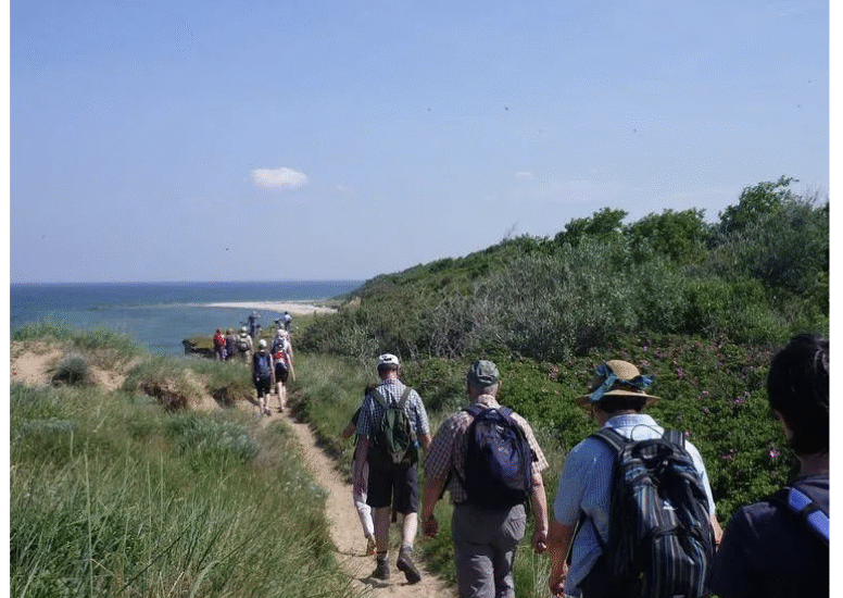 Wikingerreisen Reisebüro Reiseveranstaltung Reiseplanung Haus Linden Ruhe Wohlbefinden Entspannung Geneesung Oststee