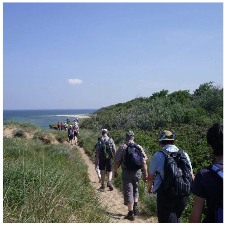 Wikingerreisen Reisebüro Reiseveranstaltung Reiseplanung Haus Linden Ruhe Wohlbefinden Entspannung Geneesung Oststee