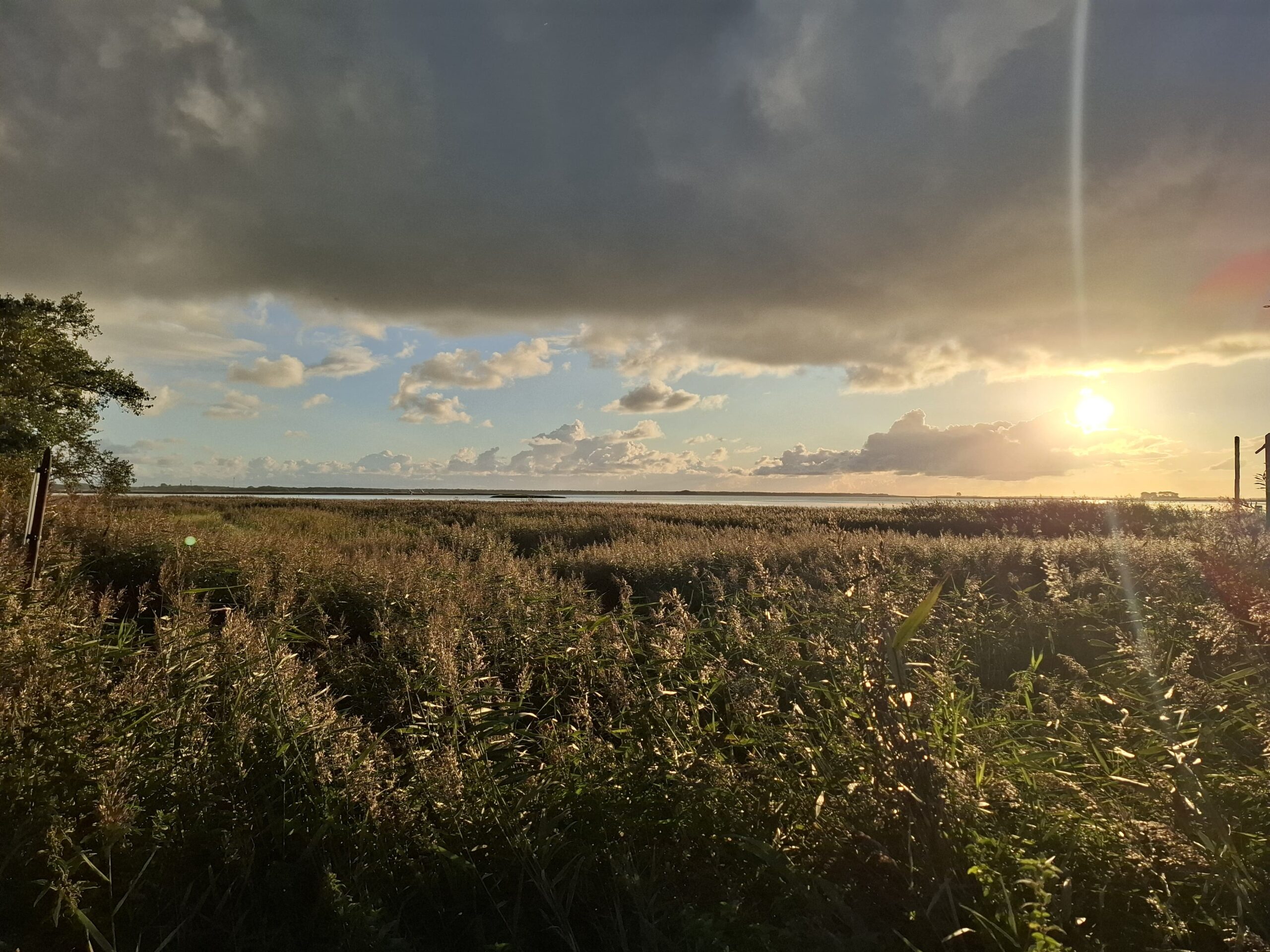 WhatsApp Image 2025-09-23 at 07.36.50