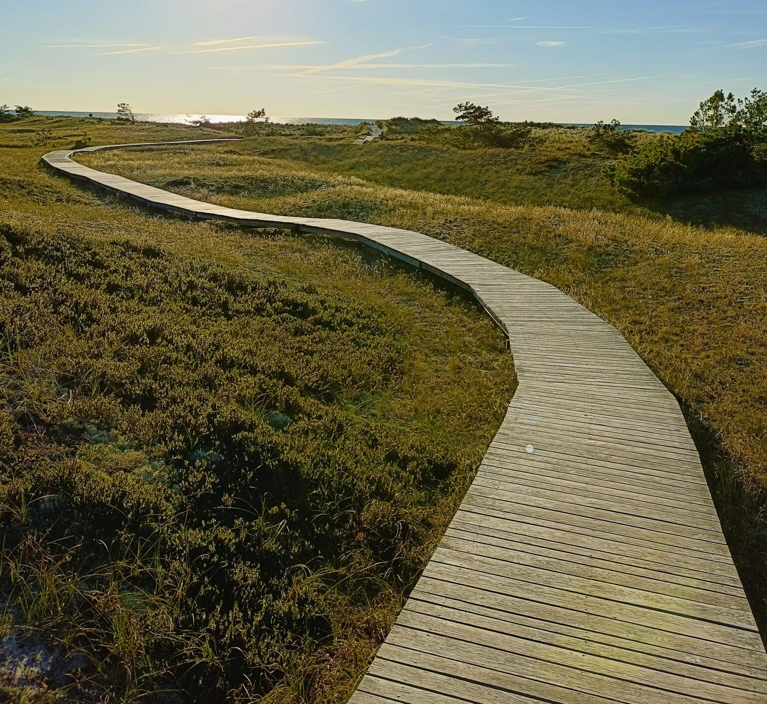 WhatsApp Image 2025-09-24 at 21.20.56