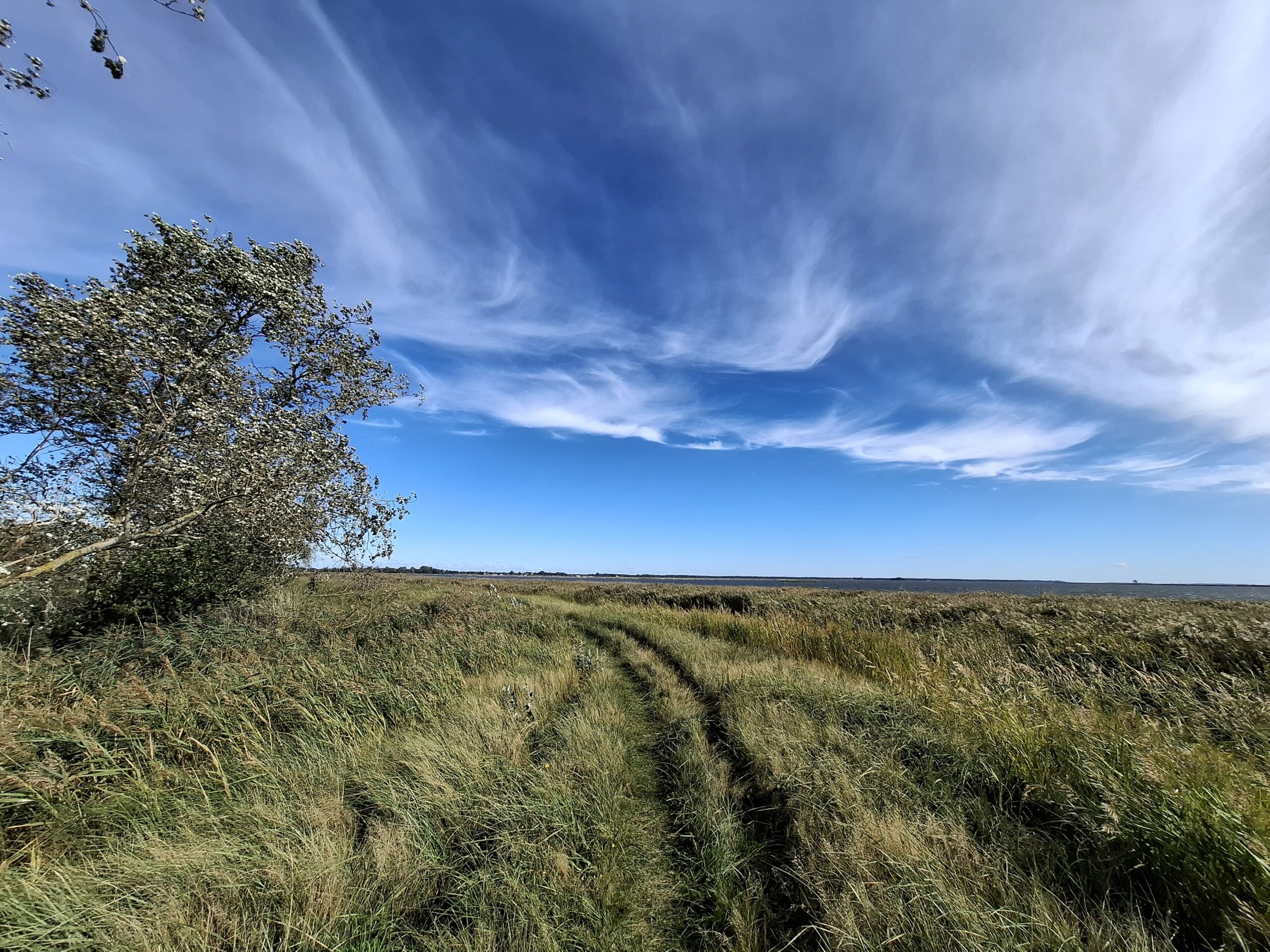 WhatsApp Image 2025-09-26 at 11.56.34