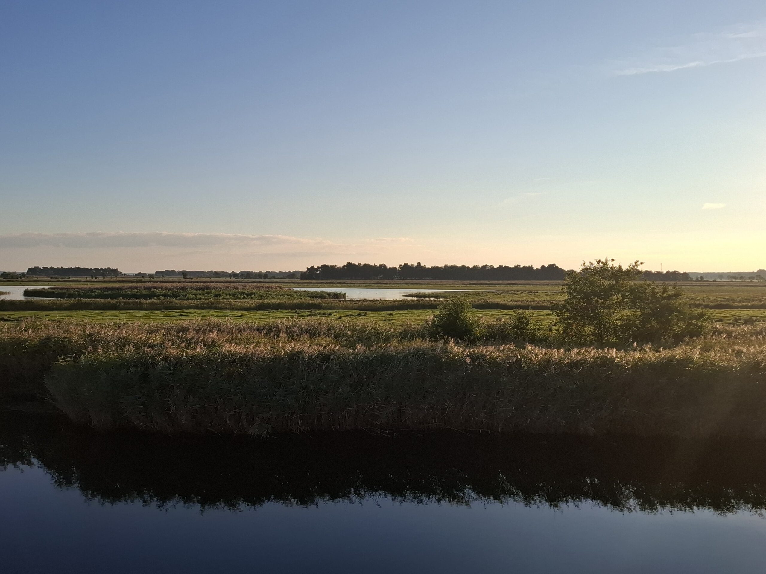 WhatsApp Image 2025-10-02 at 20.29.47 (2)