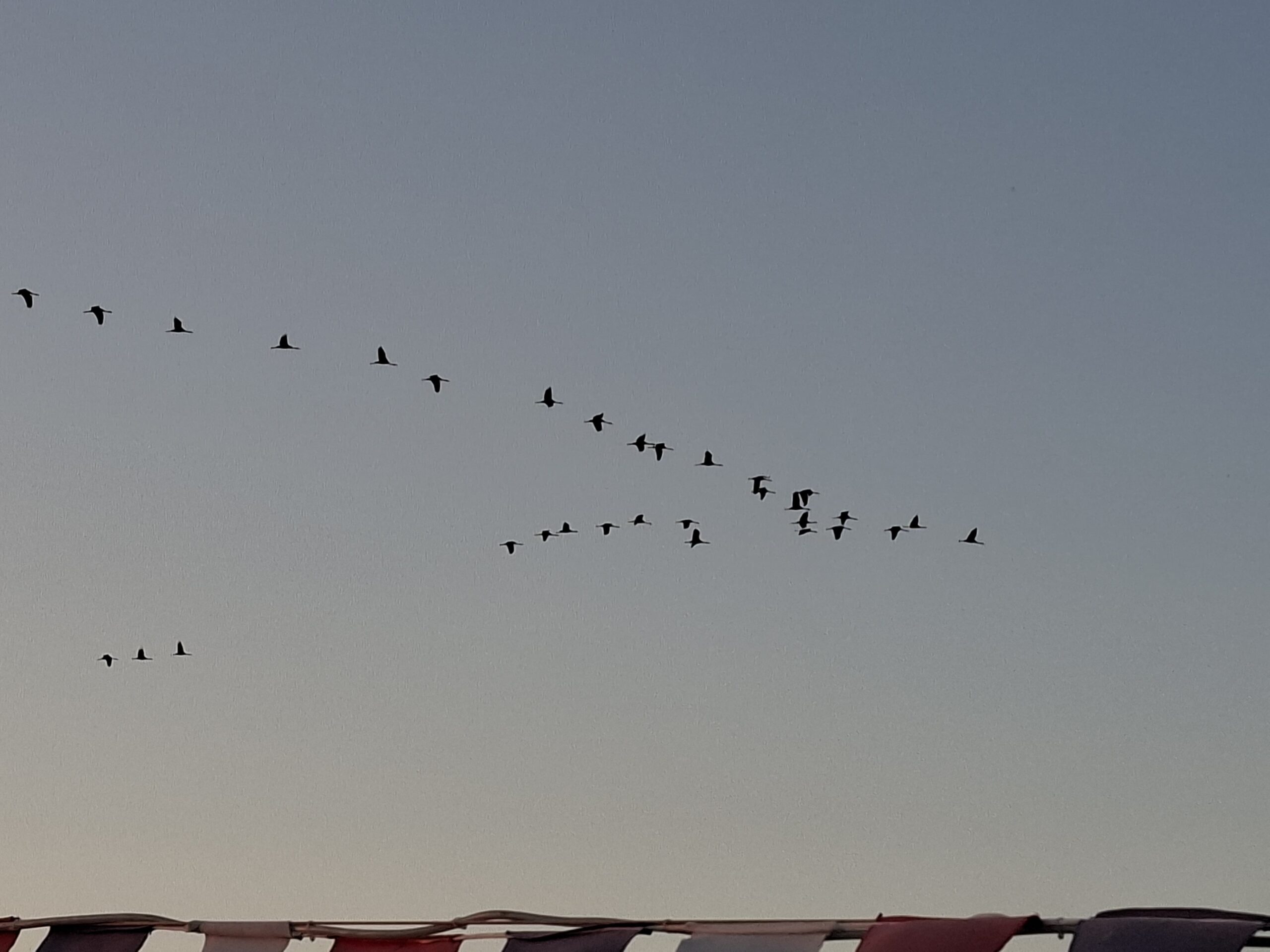 WhatsApp Image 2025-10-02 at 20.30.02 (2)